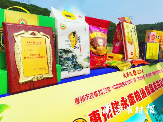 谢永佳把“十大种粮能手”的奖牌与丝苗米产品放在一起。
