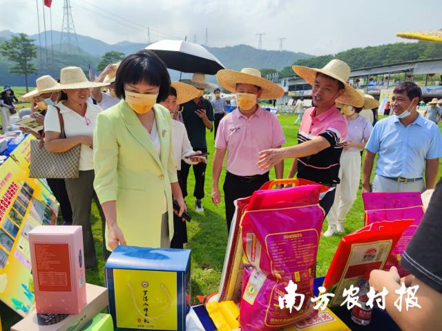 谢永佳向参观者介绍博罗丝苗米