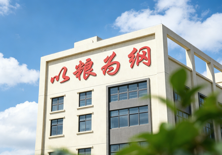 以粮为纲